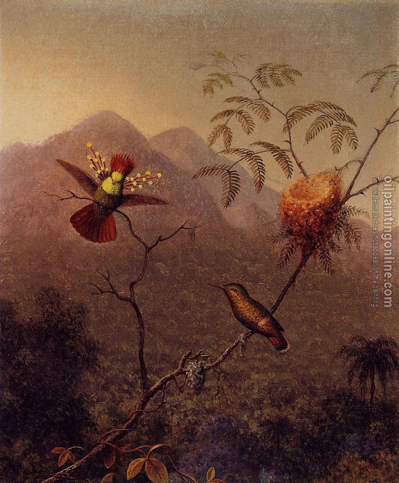 Heade, Martin Johnson - Tufted Coquette